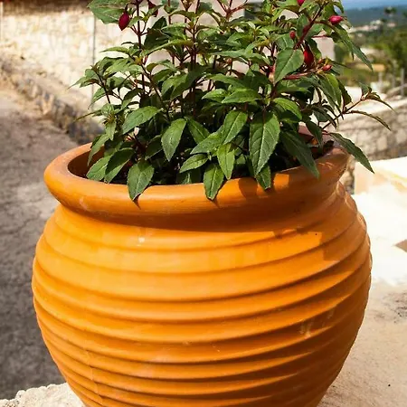 Villa Belair Agia Triada